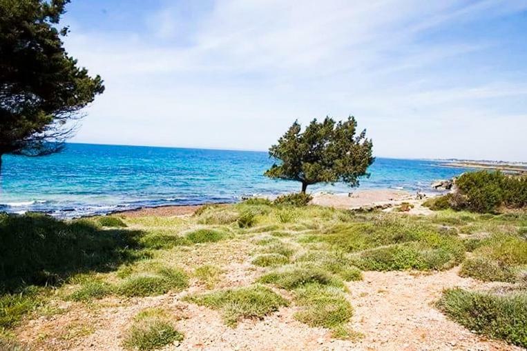 A House Between Ancient Olympia And The Ionian Sea Levendokhórion 외부 사진