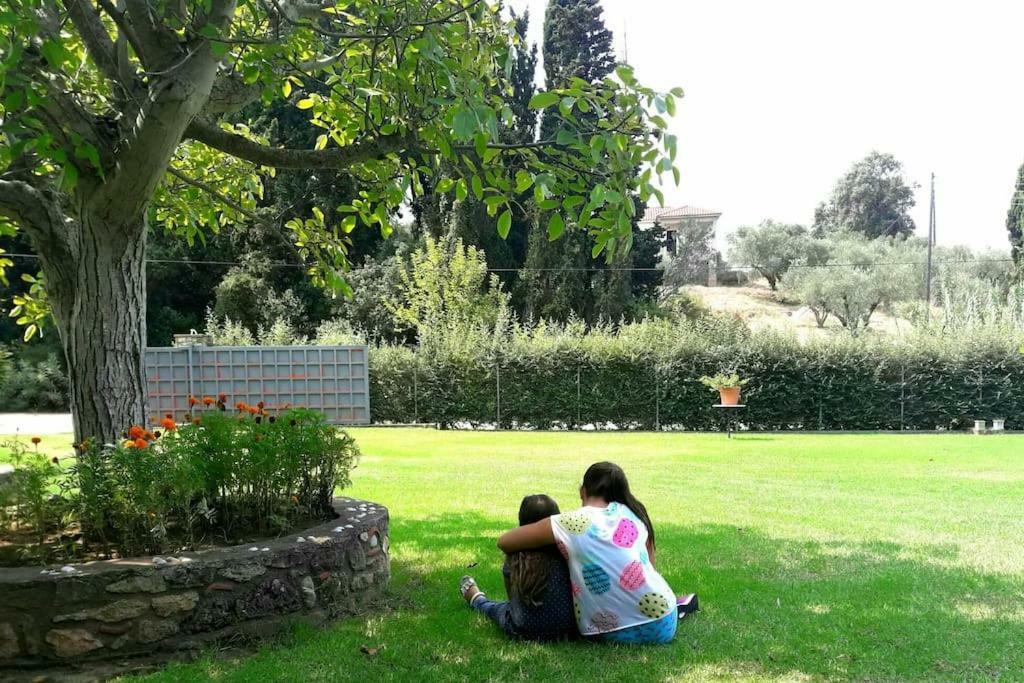 A House Between Ancient Olympia And The Ionian Sea Levendokhórion 외부 사진