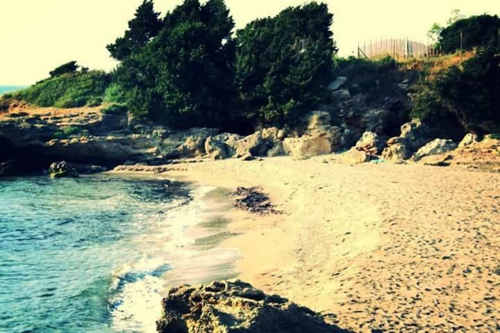 A House Between Ancient Olympia And The Ionian Sea Levendokhórion 외부 사진